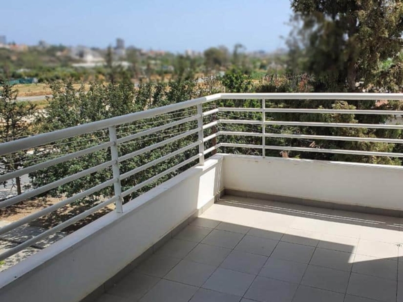 whatsapp image 2025 06 12 at 162025 1 copy large