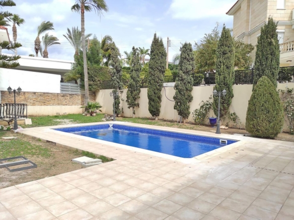 whatsapp image 2025 07 07 at 090220 5 copy large