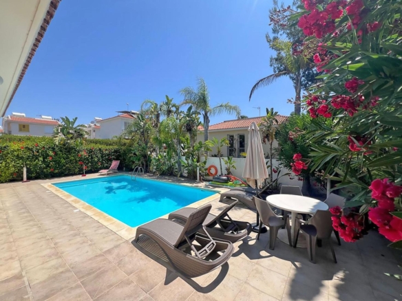 whatsapp image 2025 07 08 at 163819 15 copy large