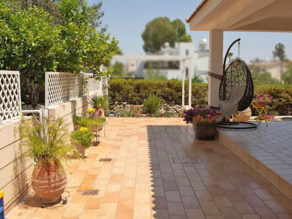 whatsapp image 2025 07 11 at 102406 1 copy large