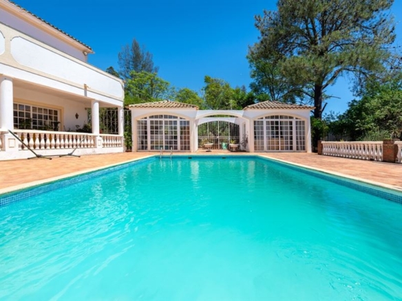 6 1 efdd9471 d173 4ee6 8df6 d7676b6d1cab