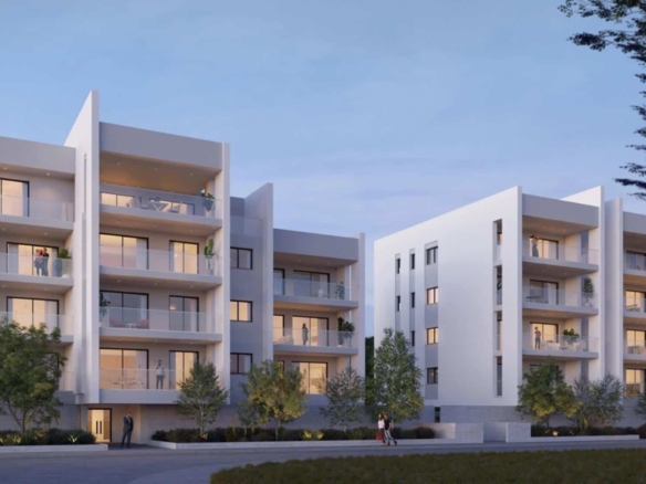 ch143 olive lr 4 large large