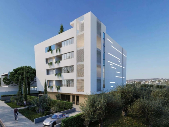 picture 2 copy large 2