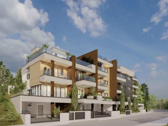 screenshot 2025 01 30 at 42428 pm copy large 1