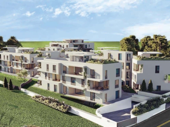 untitled 2 02 large large 8