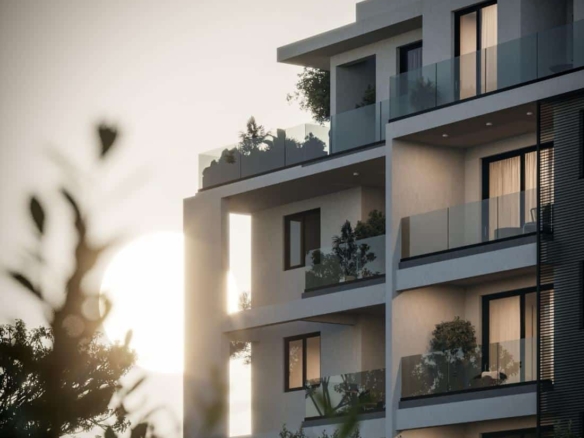 whatsapp image 2024 11 26 at 124818 3b7057e3 large large 1