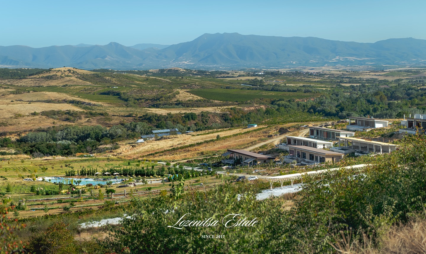 Lozenitsa Estate Wine & Vineyards