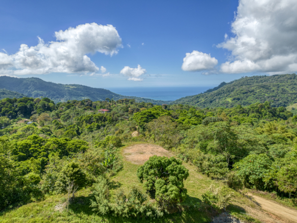 2.77 hectare ocean view land for sale near Uvita Costa Rica