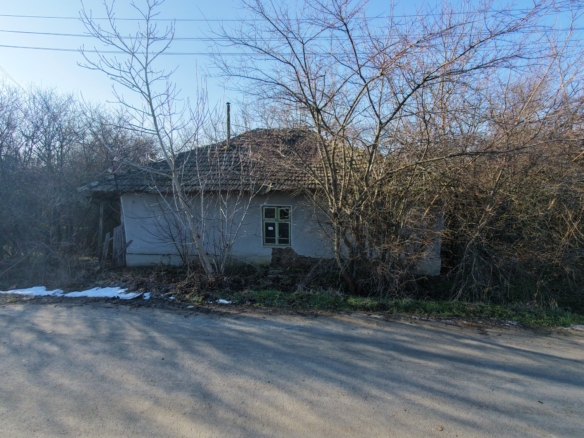 нова