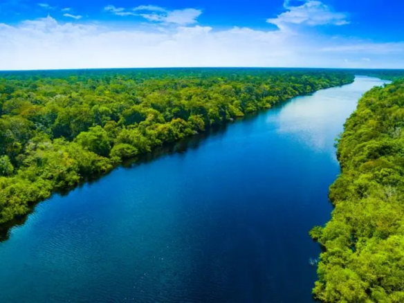 Amazon river