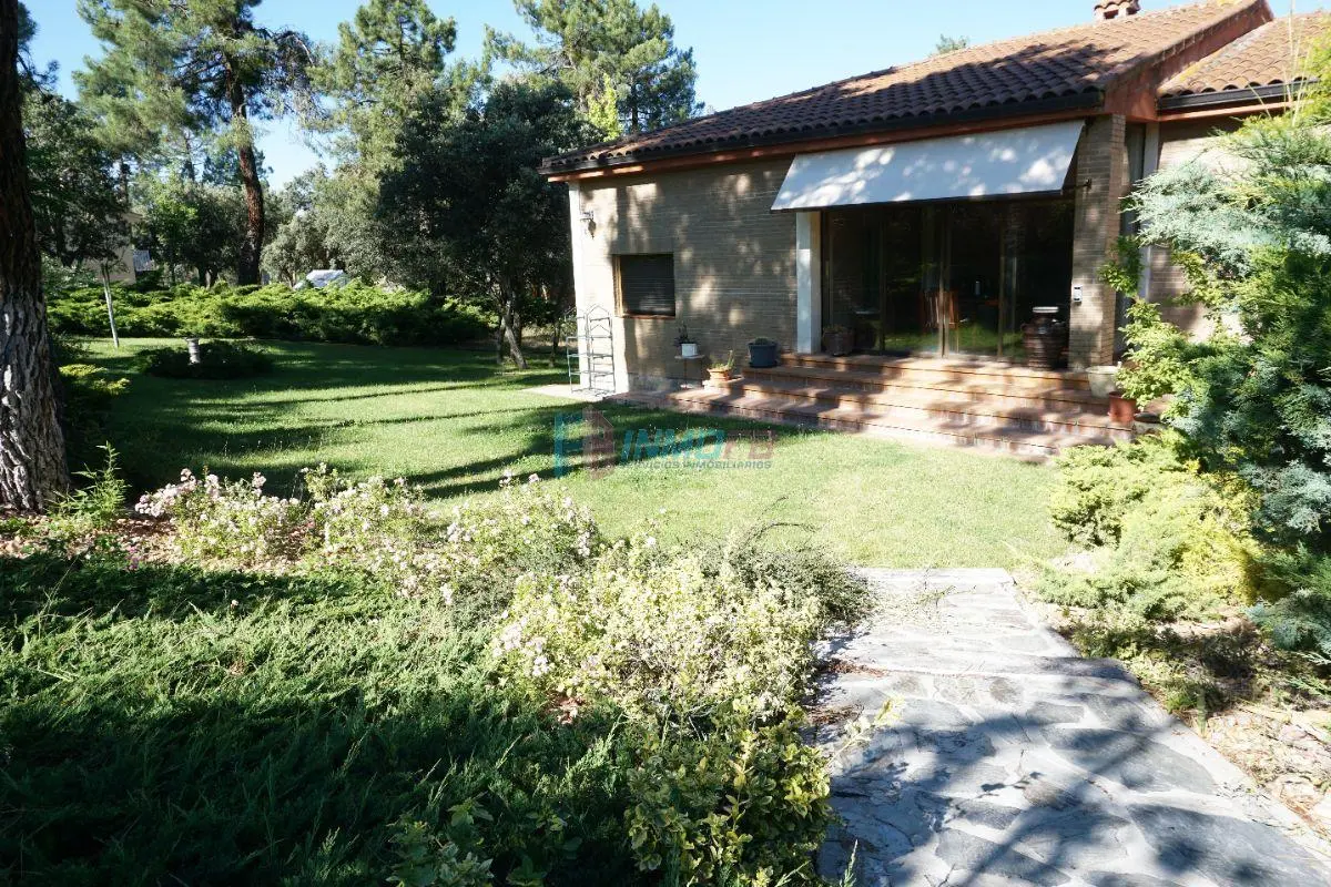 Front-garden-2-1