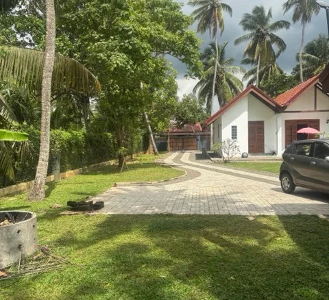 garden view between houses Medium