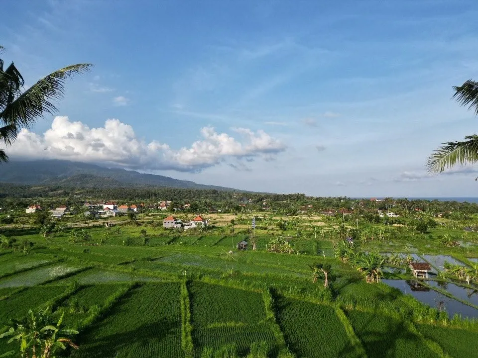 DJI 0014